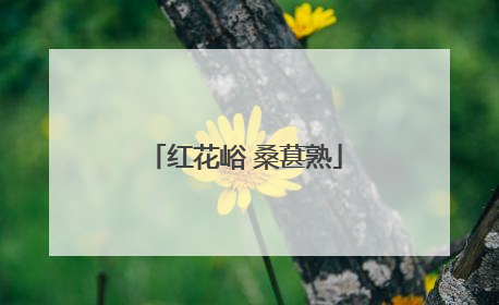 红花峪 桑葚熟