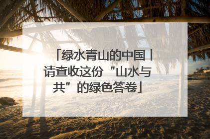绿水青山的中国丨请查收这份“山水与共”的绿色答卷