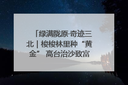绿满陇原·奇迹三北｜梭梭林里种“黄金” 高台治沙致富很“从容”