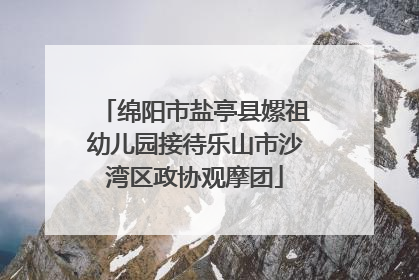 绵阳市盐亭县嫘祖幼儿园接待乐山市沙湾区政协观摩团
