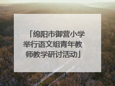 绵阳市御营小学举行语文组青年教师教学研讨活动
