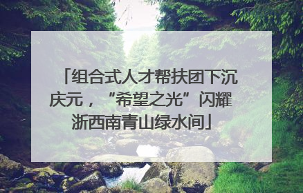 组合式人才帮扶团下沉庆元，“希望之光”闪耀浙西南青山绿水间