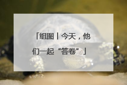 组图丨今天，他们一起“答卷”