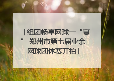 组团畅享网球一“夏” 郑州市第七届业余网球团体赛开拍