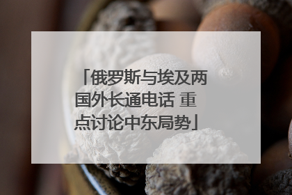 俄罗斯与埃及两国外长通电话 重点讨论中东局势