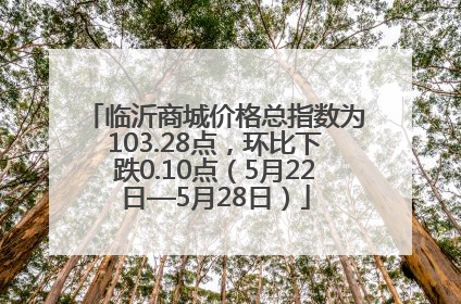临沂商城价格总指数为103.28点，环比下跌0.10点（5月22日—5月28日）