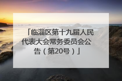 临淄区第十九届人民代表大会常务委员会公告（第20号）