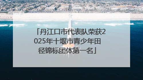 丹江口市代表队荣获2025年十堰市青少年田径锦标团体第一名