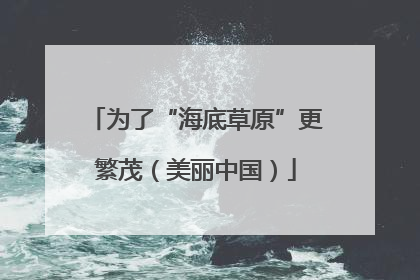 为了“海底草原”更繁茂（美丽中国）