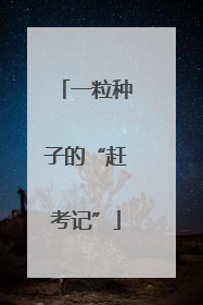 一粒种子的“赶考记”