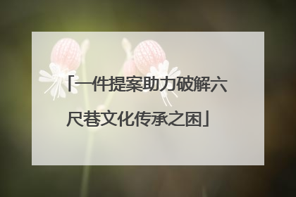 一件提案助力破解六尺巷文化传承之困