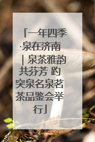 一年四季·泉在济南｜泉茶雅韵共芬芳 趵突泉名泉茗茶品鉴会举行