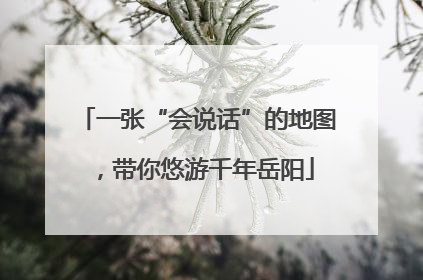 一张“会说话”的地图，带你悠游千年岳阳