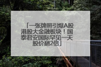 一张牌照引爆A股港股大金融板块！国泰君安国际罕见一天股价翻2倍