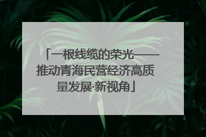 一根线缆的荣光——推动青海民营经济高质量发展·新视角