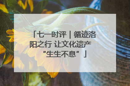 七一时评｜循迹洛阳之行 让文化遗产“生生不息”