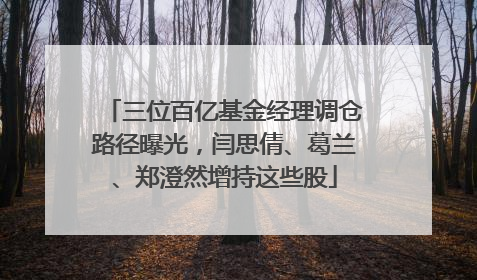 三位百亿基金经理调仓路径曝光，闫思倩、葛兰、郑澄然增持这些股