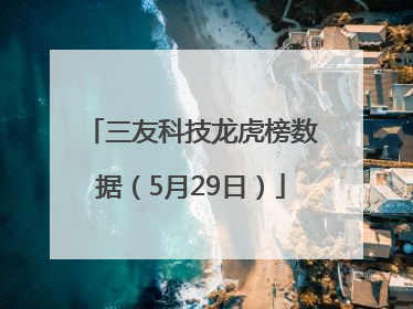 三友科技龙虎榜数据（5月29日）