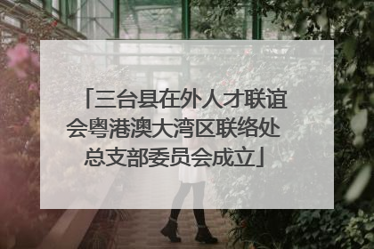三台县在外人才联谊会粤港澳大湾区联络处总支部委员会成立
