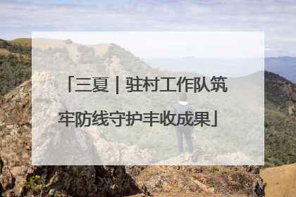 三夏｜驻村工作队筑牢防线守护丰收成果