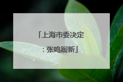 上海市委决定：张鸣履新