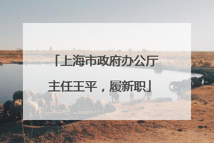 上海市政府办公厅主任王平，履新职