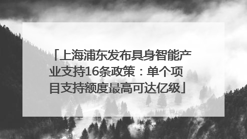 上海浦东发布具身智能产业支持16条政策：单个项目支持额度最高可达亿级