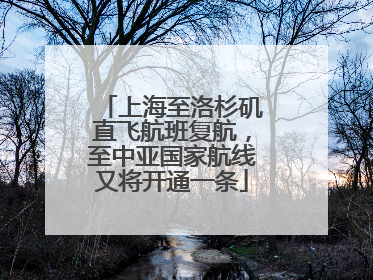 上海至洛杉矶直飞航班复航，至中亚国家航线又将开通一条