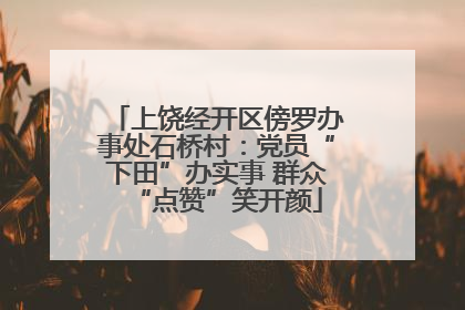 上饶经开区傍罗办事处石桥村：党员“下田”办实事 群众“点赞”笑开颜