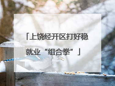 上饶经开区打好稳就业“组合拳”