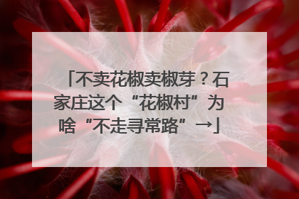 不卖花椒卖椒芽？石家庄这个“花椒村”为啥“不走寻常路”→