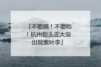 不要摘！不要吃！杭州街头正大量出现紫叶李