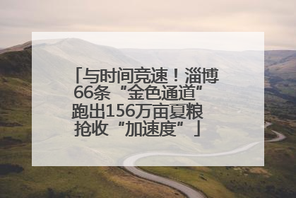 与时间竞速！淄博66条“金色通道”跑出156万亩夏粮抢收“加速度”