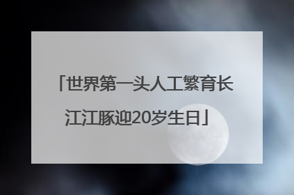世界第一头人工繁育长江江豚迎20岁生日