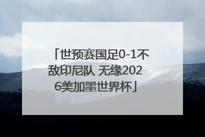 世预赛国足0-1不敌印尼队 无缘2026美加墨世界杯