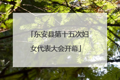 东安县第十五次妇女代表大会开幕