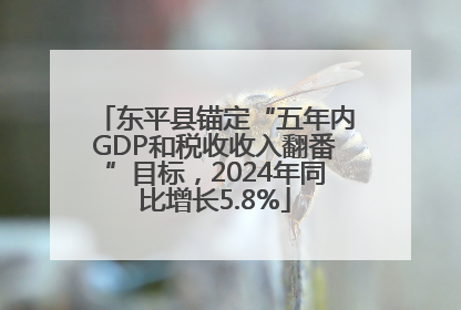 东平县锚定“五年内GDP和税收收入翻番”目标，2024年同比增长5.8%