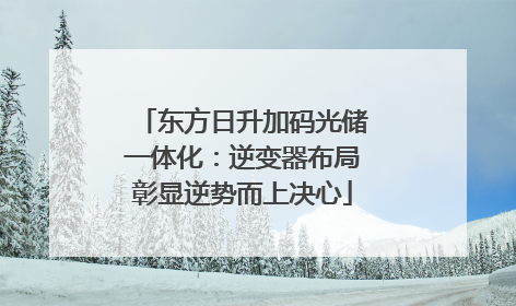 东方日升加码光储一体化：逆变器布局彰显逆势而上决心