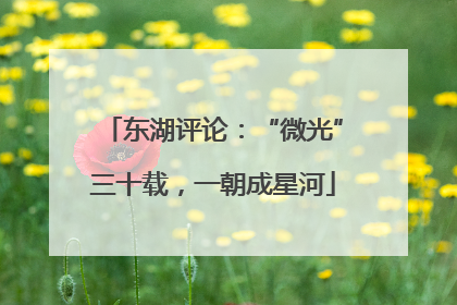 东湖评论：“微光”三十载，一朝成星河