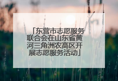 东营市志愿服务联合会在山东省黄河三角洲农高区开展志愿服务活动