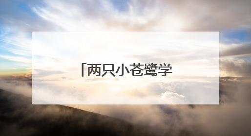 两只小苍鹭学飞刮伤，管护员紧急“送医”