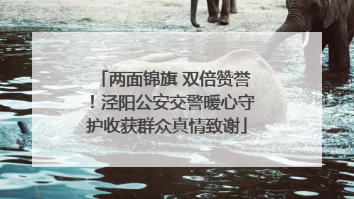 两面锦旗 双倍赞誉！泾阳公安交警暖心守护收获群众真情致谢