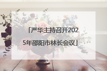 严华主持召开2025年邵阳市林长会议