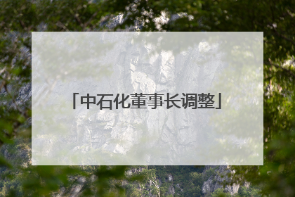中石化董事长调整
