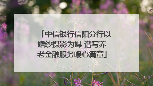中信银行信阳分行以婚纱摄影为媒 谱写养老金融服务暖心篇章