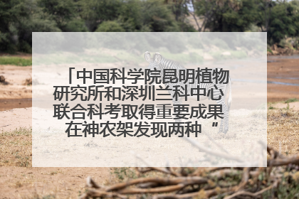中国科学院昆明植物研究所和深圳兰科中心联合科考取得重要成果 在神农架发现两种“国保”级兰花
