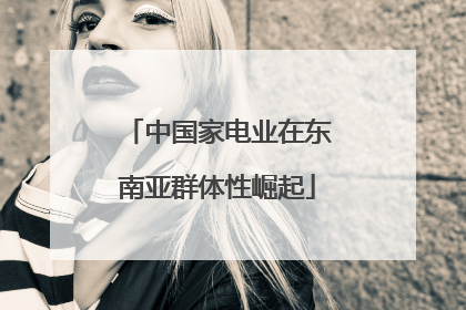中国家电业在东南亚群体性崛起
