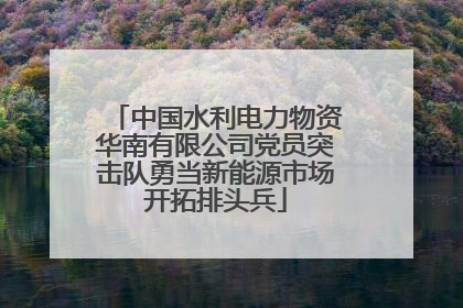 中国水利电力物资华南有限公司党员突击队勇当新能源市场开拓排头兵