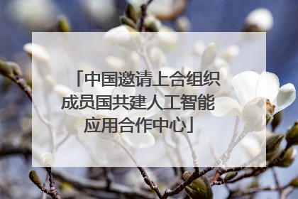中国邀请上合组织成员国共建人工智能应用合作中心