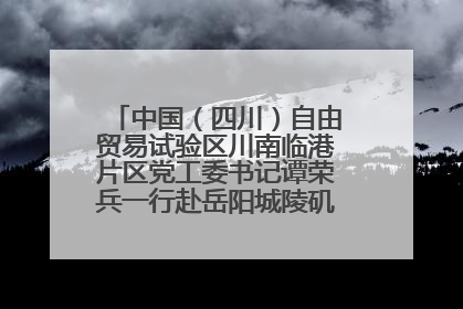 中国（四川）自由贸易试验区川南临港片区党工委书记谭荣兵一行赴岳阳城陵矶综保区考察